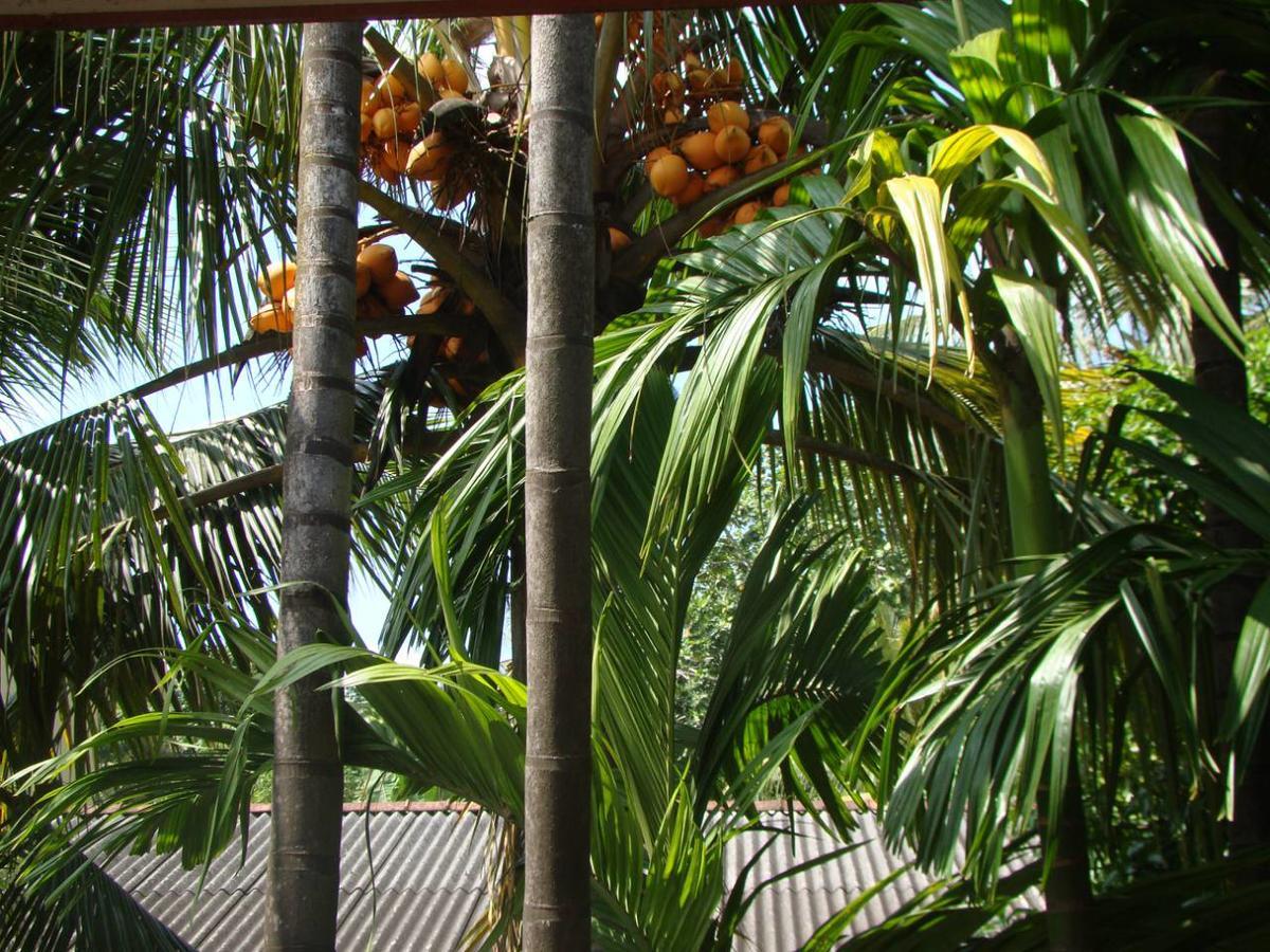 Moragalla Dilu Villa Beruwala Exterior foto